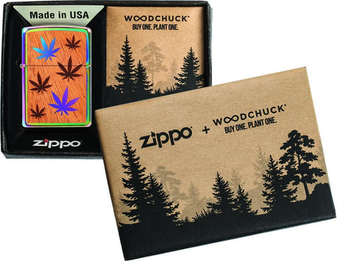 Zippo Woodchuck avec feuilles de chanvre, dans une boîte ouverte