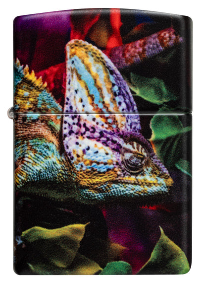 Diseño de camaleón