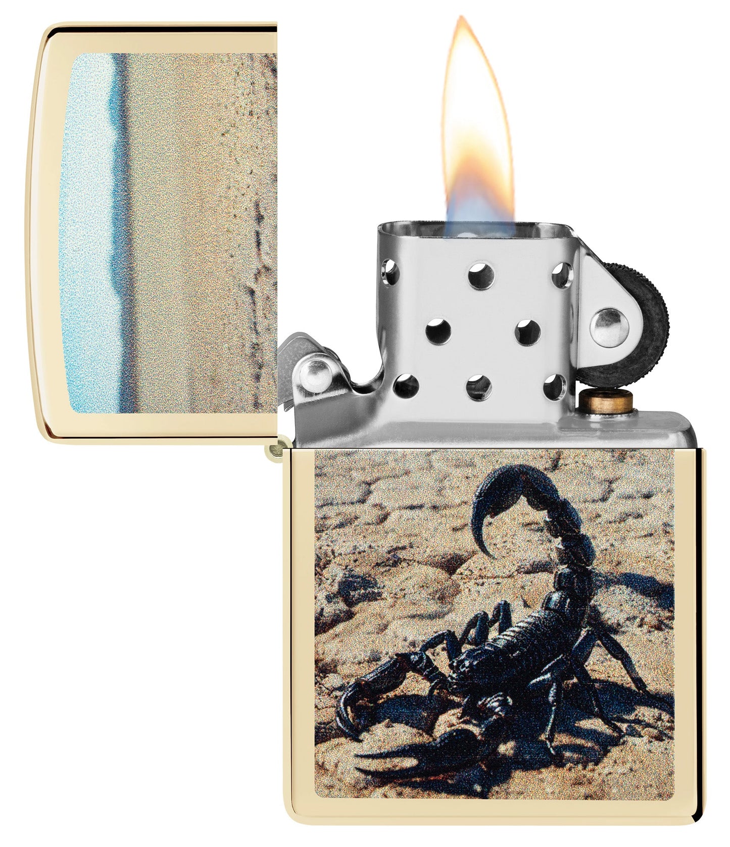 Diseño de escorpión del desierto