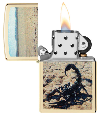 Diseño de escorpión del desierto