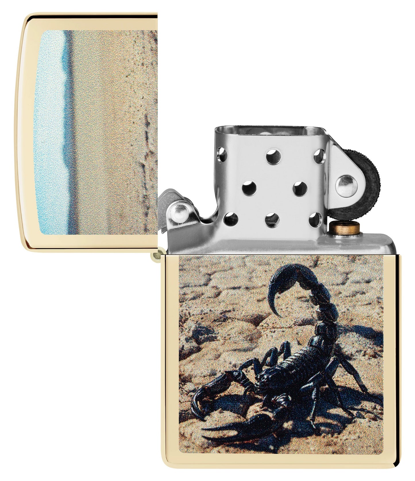 Diseño de escorpión del desierto