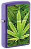 Encendedor Zippo vista frontal ¾ de ángulo morado mate con ilustración de plantas de cannabis