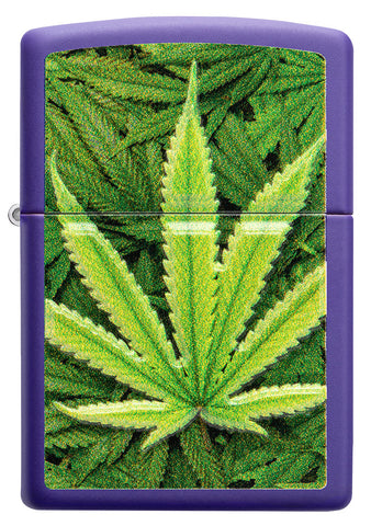 Encendedor Zippo vista frontal púrpura mate con imagen de plantas de cannabis