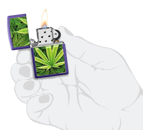 Encendedor Zippo vista frontal púrpura mate abierto y encendido con ilustración de plantas de cannabis en la mano con estilo