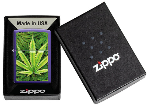 Encendedor Zippo vista frontal púrpura mate con imagen de plantas de cannabis en caja abierta